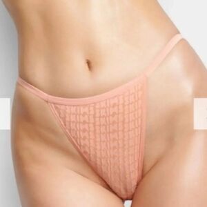 NWT SKIMS Velvet Skims Logo Sheer Sexy Cheeky Bikini In Chai Nude Panty